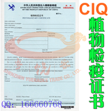 CIQ出入境检验检疫植物检疫证书 PHYTOSANITARY CERTIFICATE